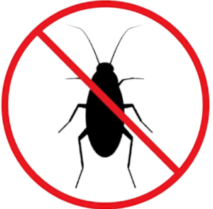 Уничтожение тараканов и клопов Чебоксары